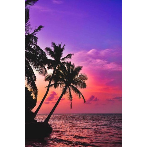 Zonsondergang op Tropisch Strand