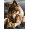 Wolf met een Bloem