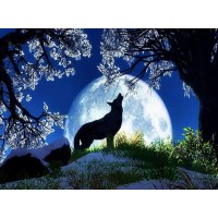 Wolf Silhouet bij Maanlic...