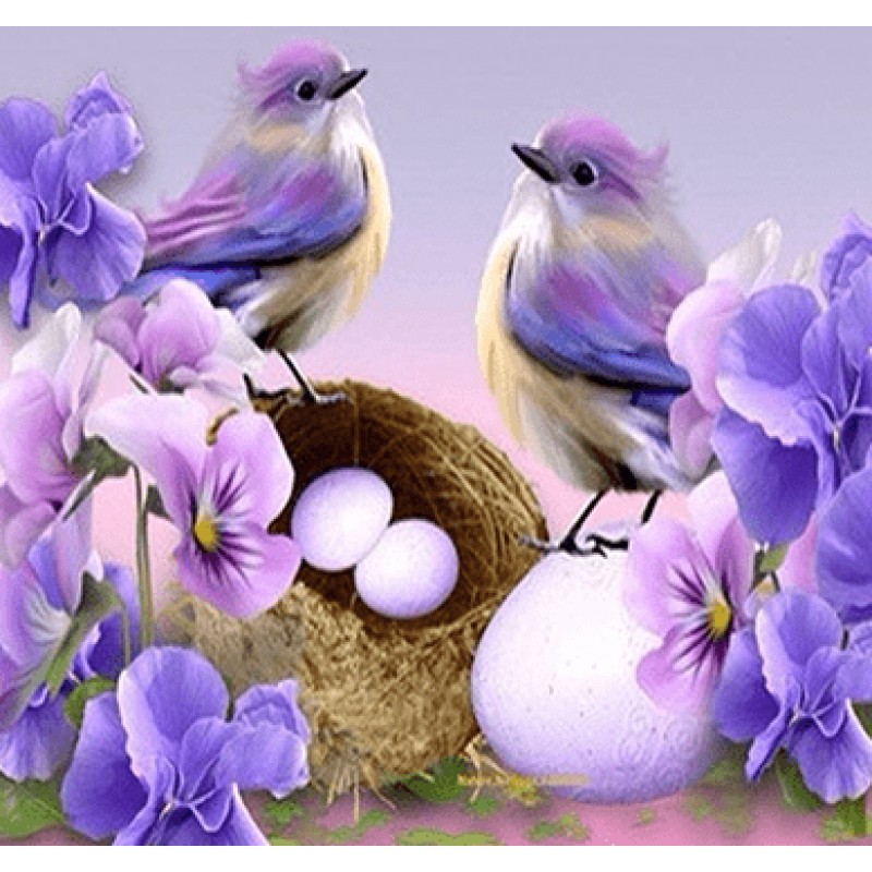 Vogeltjes in de Lent...