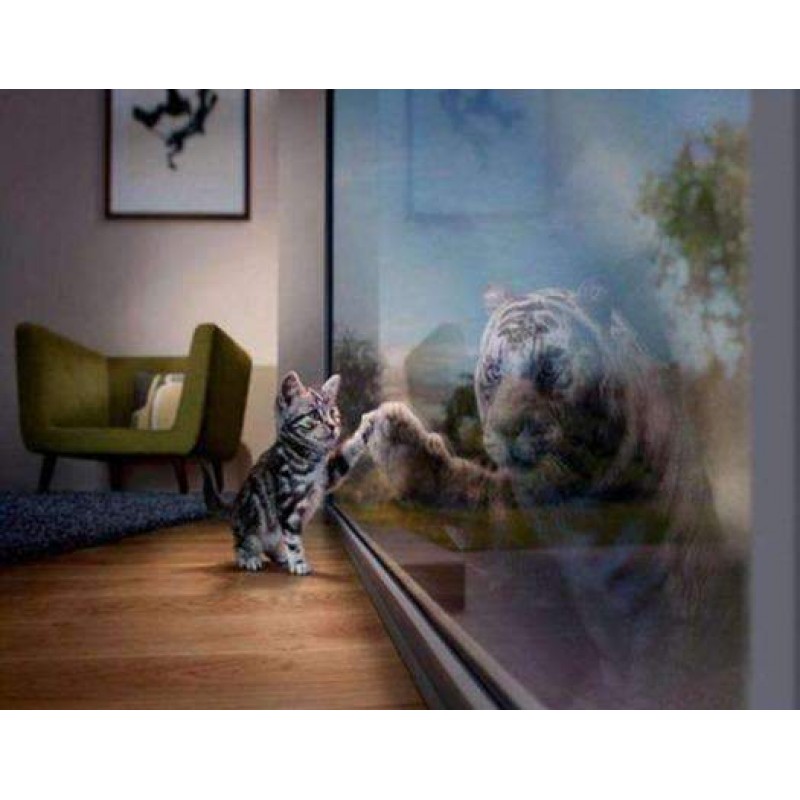 Tijgertje ziet Tijge...