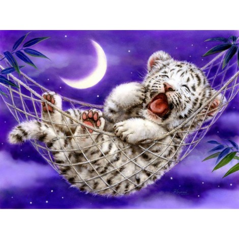 Slaperige Kleine Tijger