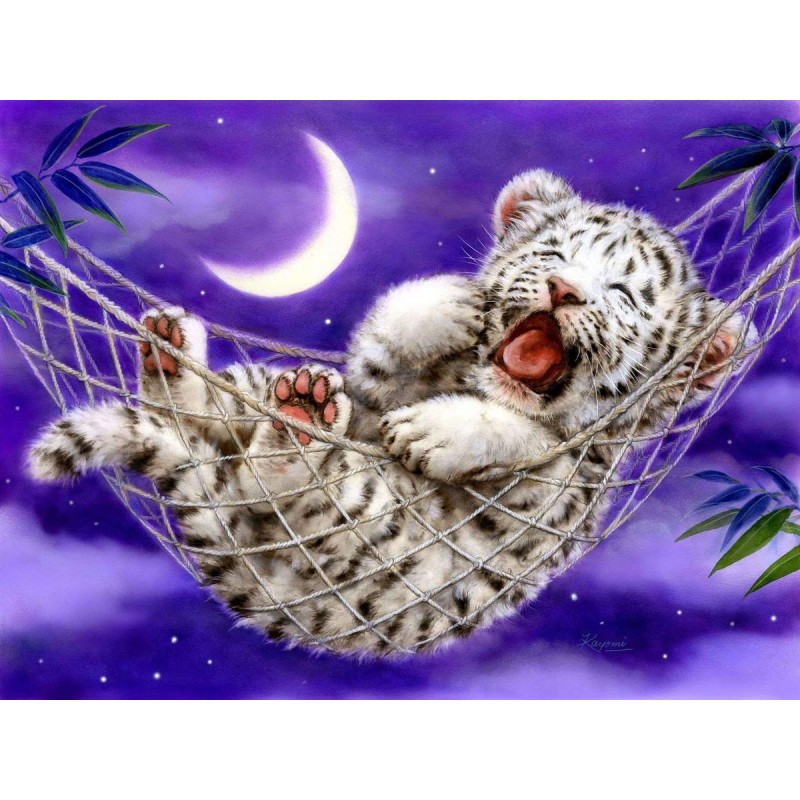 Slaperige Kleine Tij...