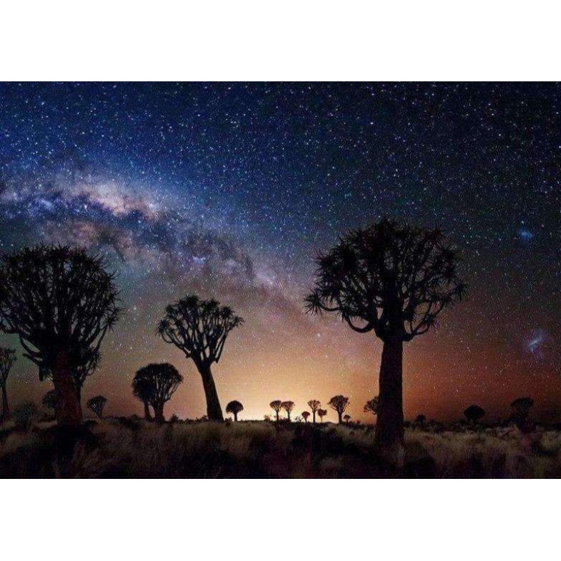 Overgang Avond Peter...