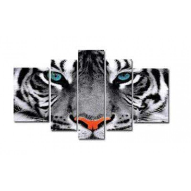 Tijger met Blauwe Og...