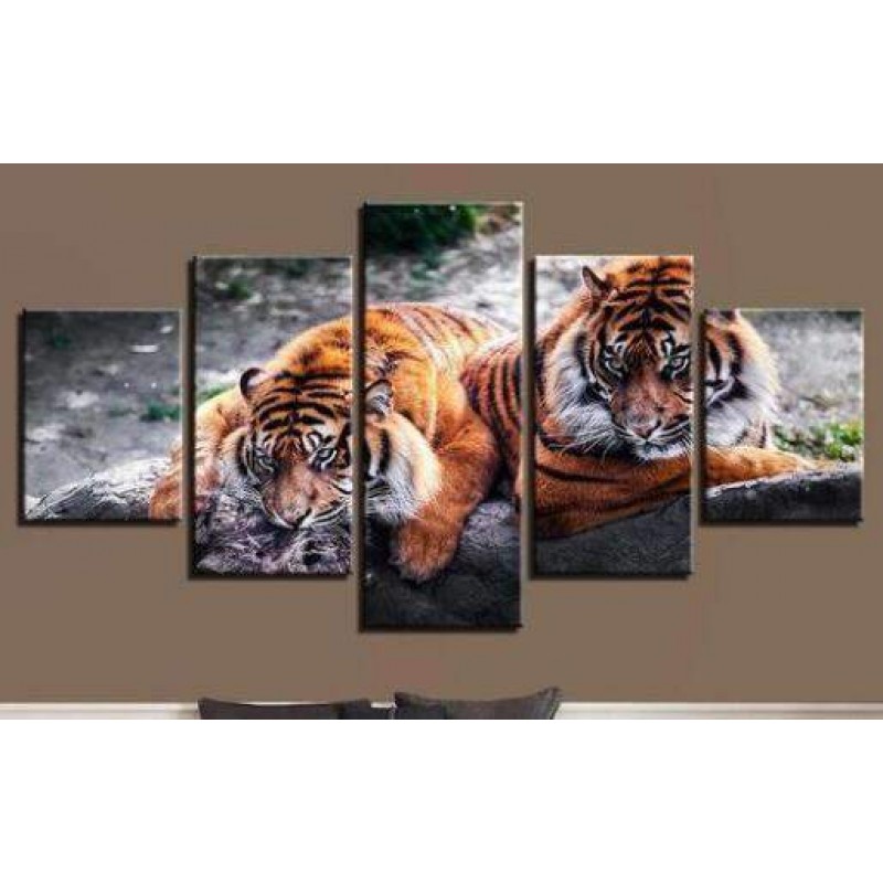 Tijgers op de Loer |...