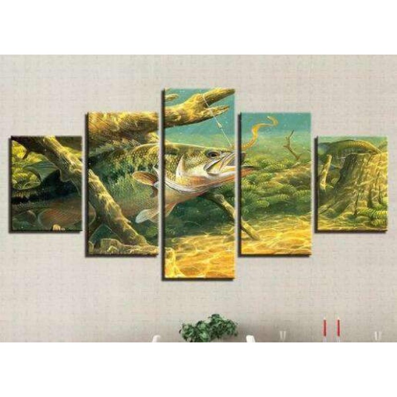 Onderwater Leven | V...