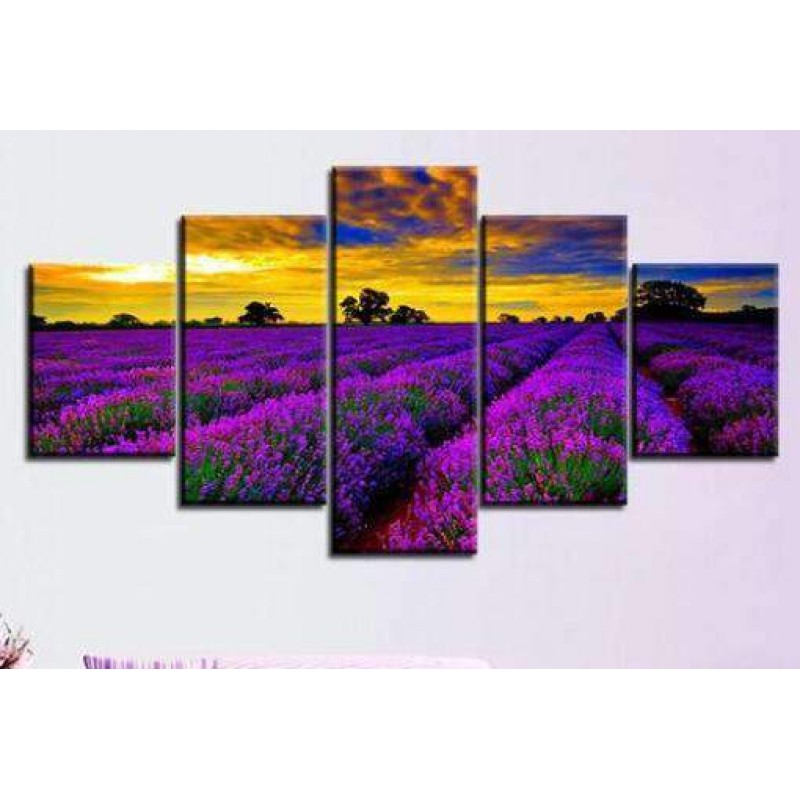 Paars Heideveld | Vi...