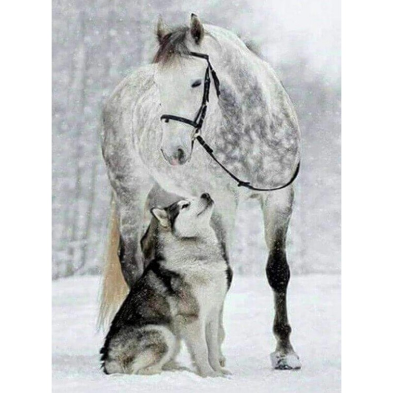 Wolf en Paard in de Sneeu...
