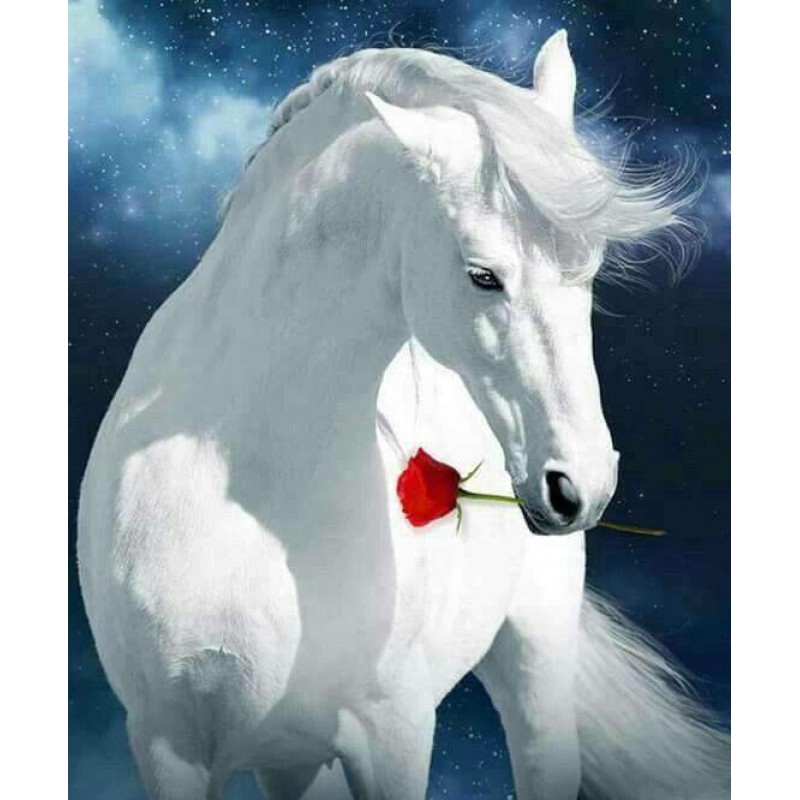 Wit Paard met Rode R...