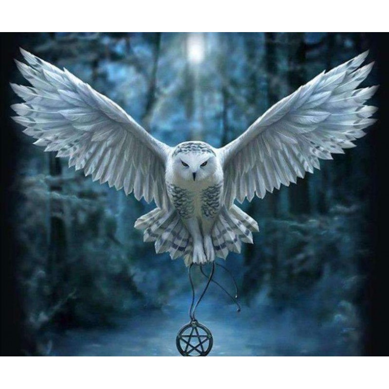 Uil met Ketting
