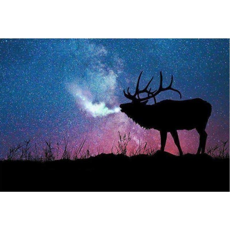 Rendier Hert Univers...