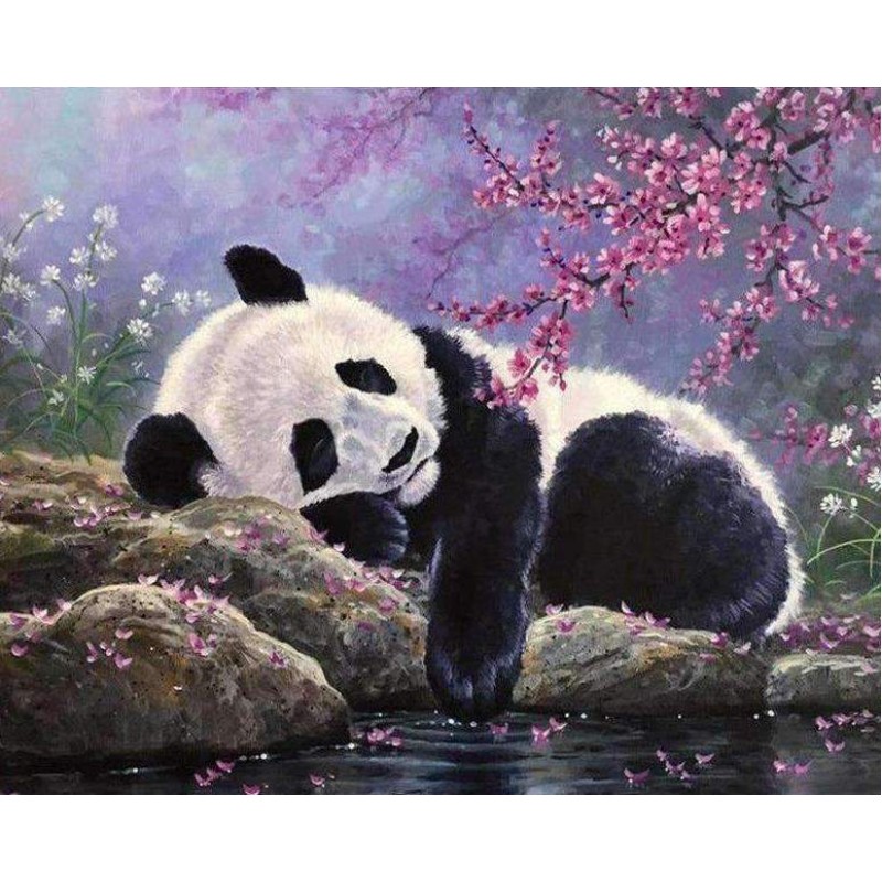 Panda Relaxed bij he...