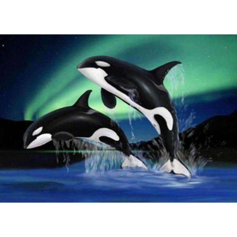 Orka bij Noorderlich...