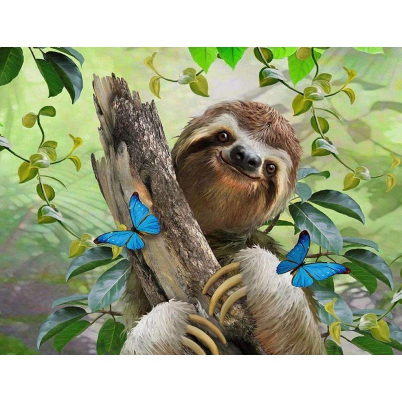 Luiaard met Vlinders