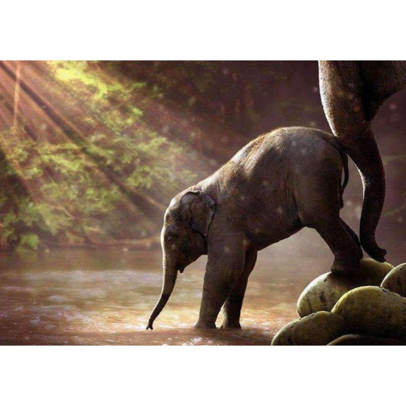 Olifantje in het Wat...