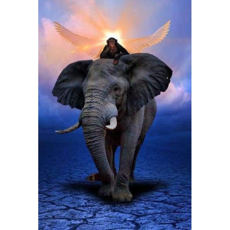 Olifant en Aap met V...