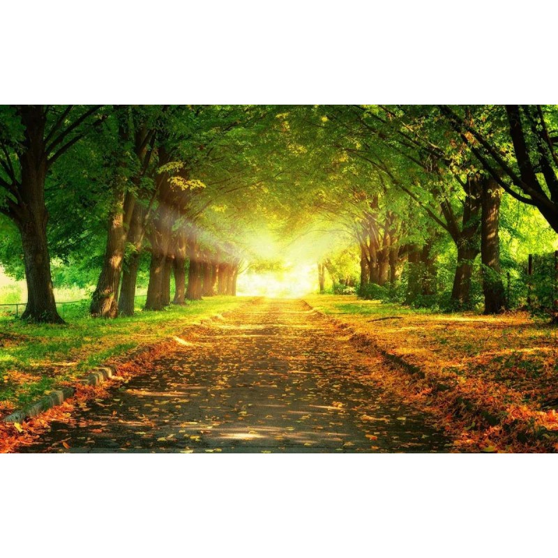 Wandeling in de Herf...