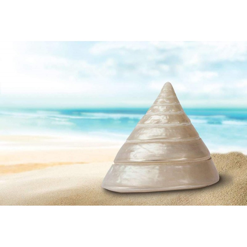 Parelmoer Schelp aan...