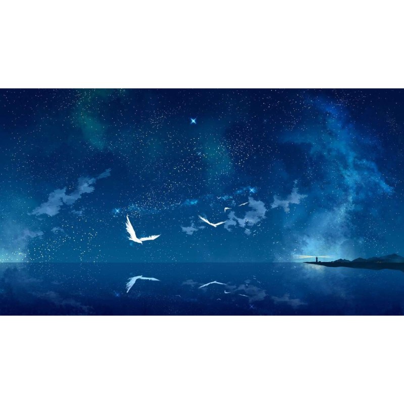 Nachtvogels Onderweg