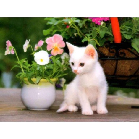 Witte Kitten met Bloemen