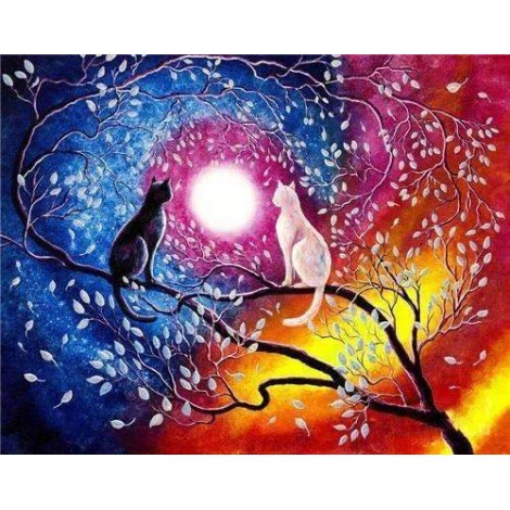 Twee Katten Romantisch Maanlicht