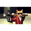 Stoere Kittens