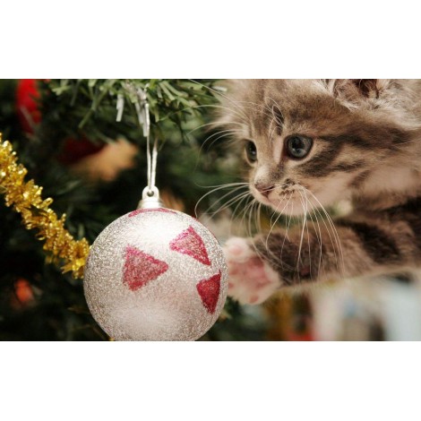 Kitten speelt met Kerstbal