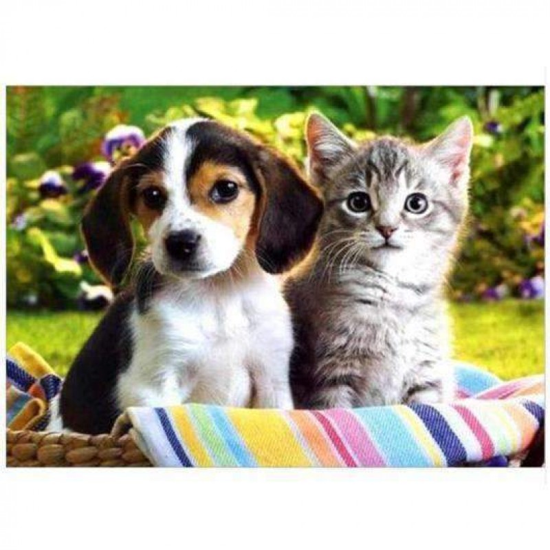 Puppy en Kitten Same...