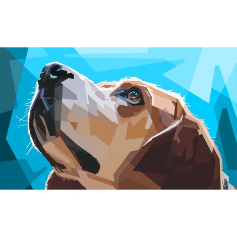 Hond kijkt Omhoog Tekening