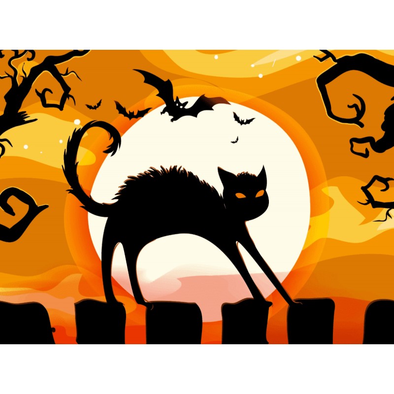 Zwarte Kat in de Nac...