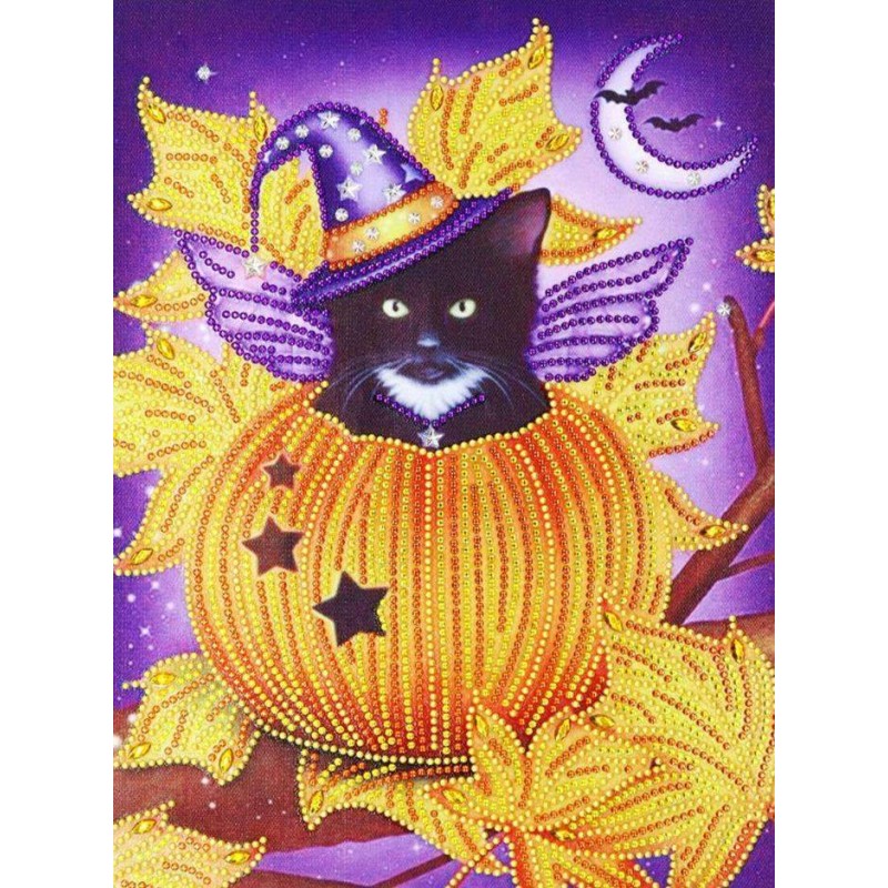 Zwarte Kat in Pompoe...