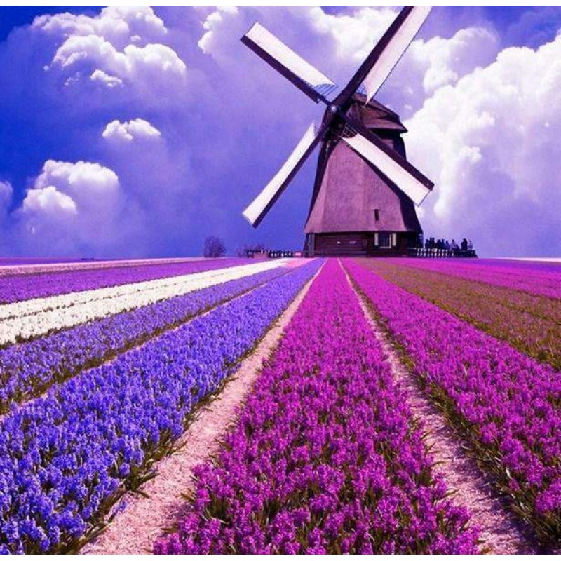 Paars Landschap met ...
