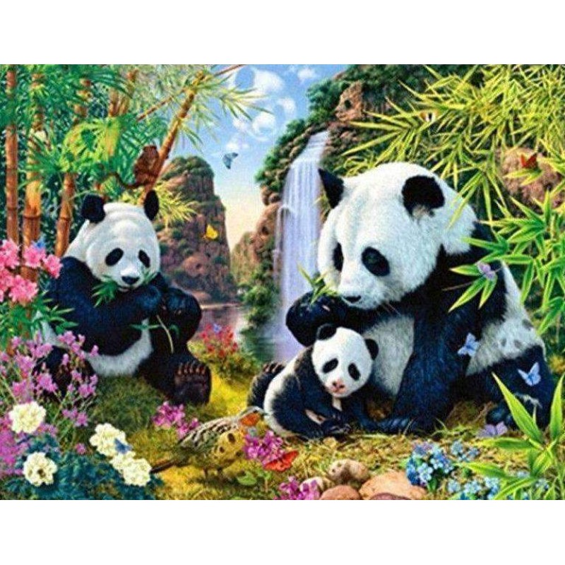 Panda's bij Waterval