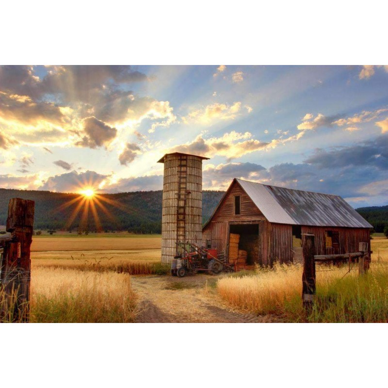 Boerderij in de Vroe...