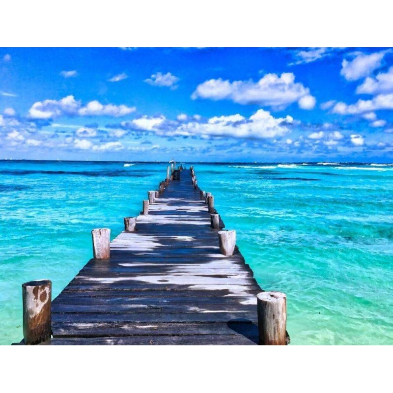 Brug over tropische ...