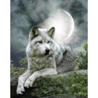 De Mooie Wolf bij Maanlic...
