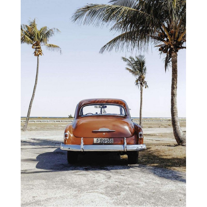 Rode Kever aan het S...