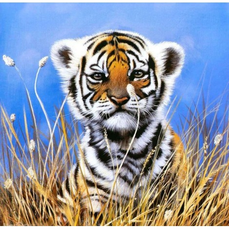 Kleine Nieuwsgierige Tijger