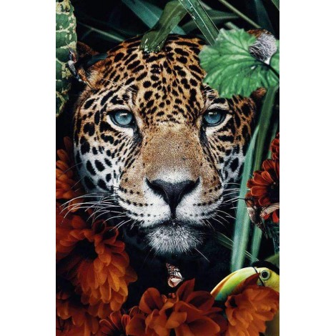 Luipaard Portret in de Jungle
