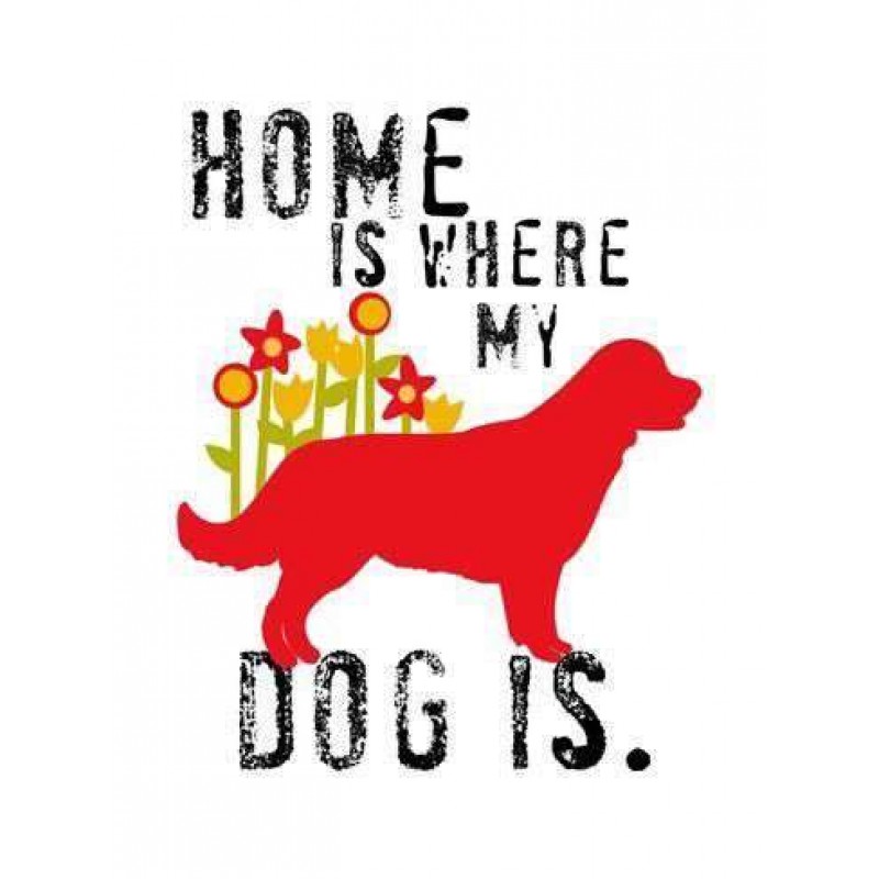 Home Is Where My Dog...