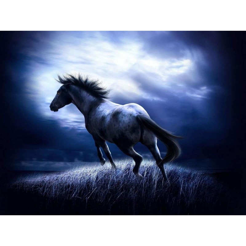 Donker Dromerig Paar...