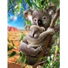 Koala Beren