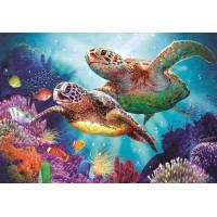 Kleurrijke Schildpadden