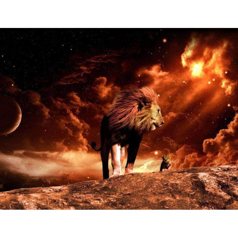 Leeuw onder de Sterr...