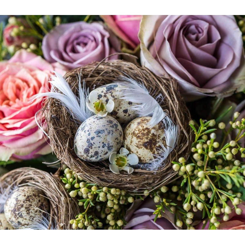 Vogelnestje in Rozen