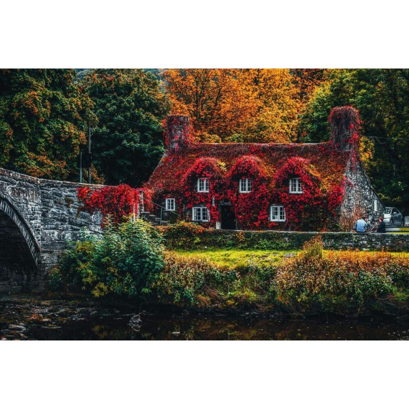 Familiehuis in de Be...