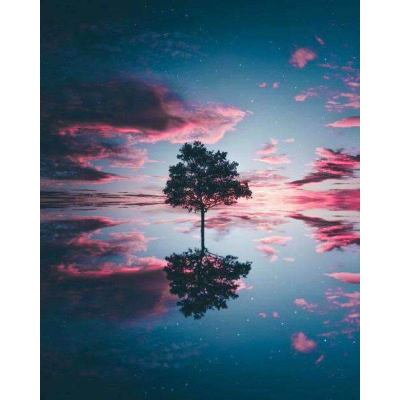 Boom Reflectie bij Z...