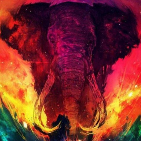Olifant met Kleuren
