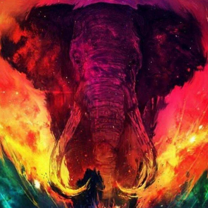 Olifant met Kleuren